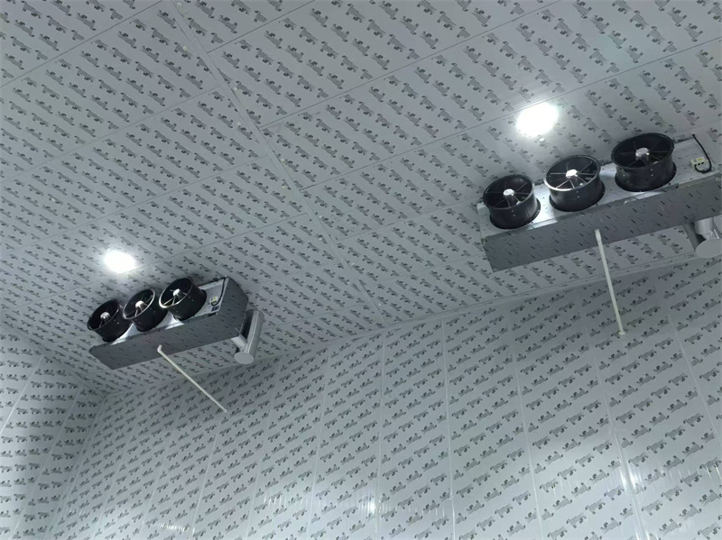 隴南經(jīng)濟(jì)技術(shù)開發(fā)區(qū)中心冷庫